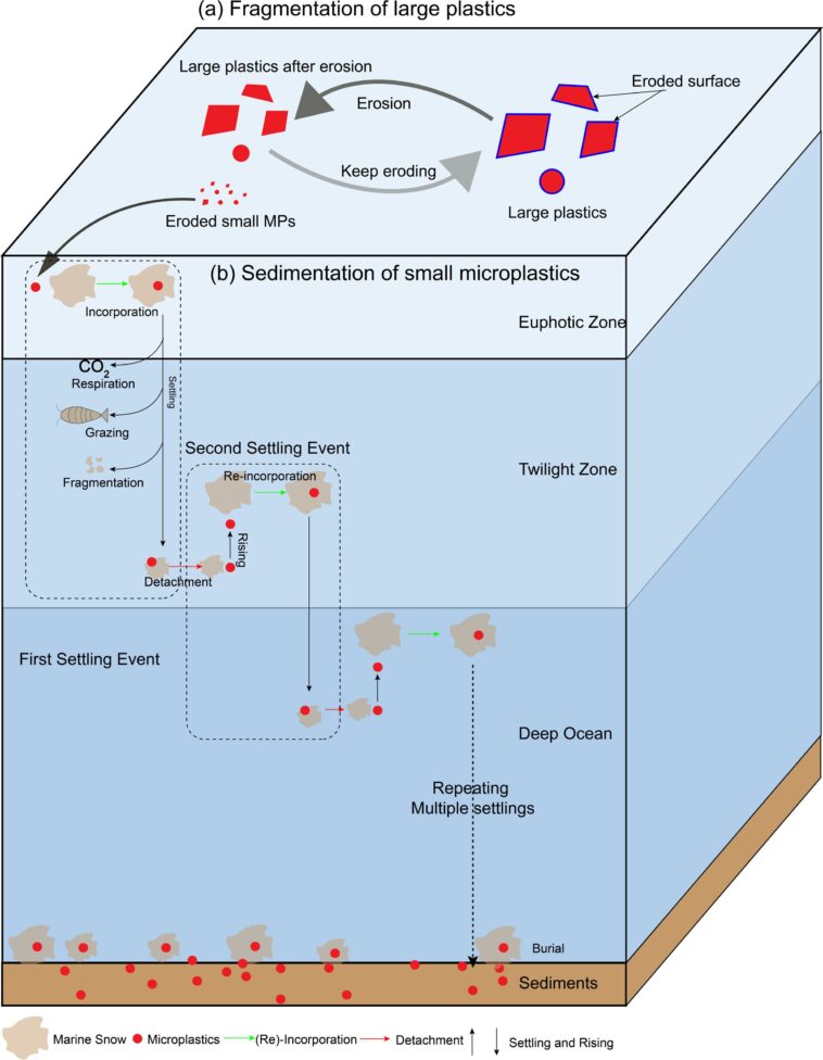 La pollution plastique pourrait persister à la surface des océans pendant plus d’un siècle, selon une nouvelle étude