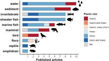 La première revue complète de la pollution plastique en Amazonie révèle que la contamination pose des risques de santé urgents