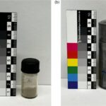 La preuve expérimentale d'une voie de désintégration atomique longtemps suspectée ajoute de nouveaux détails au « tableau périodique nucléaire »