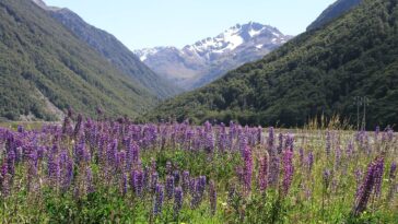 La réforme des terres protégées de Nouvelle-Zélande est attendue depuis longtemps, mais le public devrait décider des activités économiques