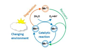 La résilience du manganèse est essentielle à son utilisation comme catalyseur dans la réaction de dégagement d'oxygène