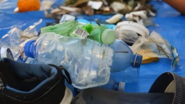 La rivière Don, à Toronto, transporte chaque année 36 000 kg de microplastiques dans le lac Ontario, selon une étude