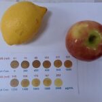 La sonde nanotechne détecte les niveaux de vitamine C dans les produits frais et les jus