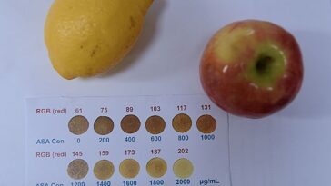 La sonde nanotechne détecte les niveaux de vitamine C dans les produits frais et les jus