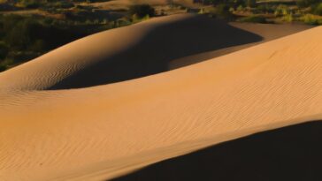 La technique permet d'estimer la force agissant sur chaque grain de sable dans une dune