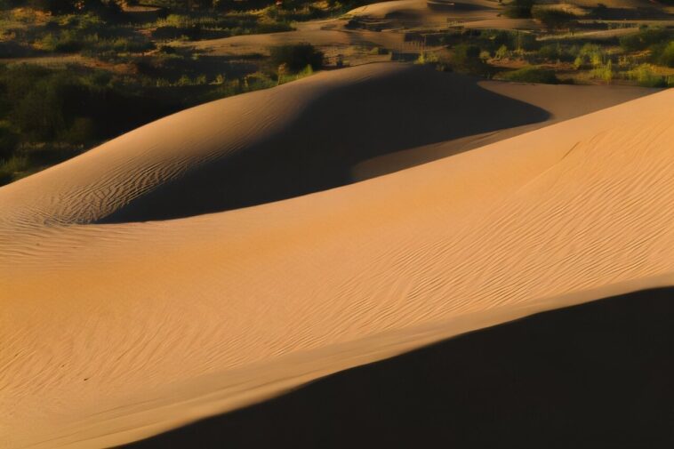 La technique permet d'estimer la force agissant sur chaque grain de sable dans une dune