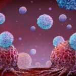 An illustration of CAR T-cell therapy treating tumour cells