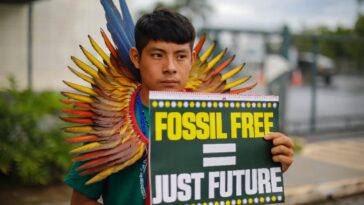 Le Brésil et d'autres pays conviennent de quadrupler les carburants durables