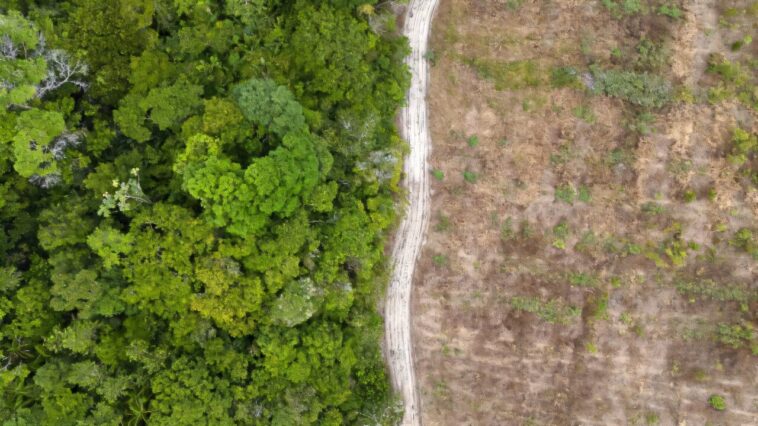 Le Brésil vante une baisse de la déforestation avant les négociations de l'ONU sur le climat