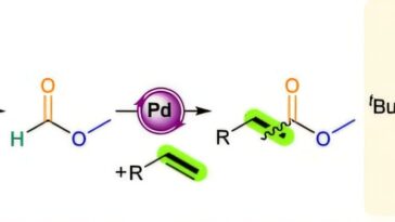 Le CO₂ comme matière première : un système catalytique rend le gaz climatique utilisable pour l'industrie chimique