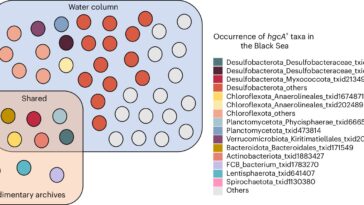 Le changement climatique pourrait accroître la propagation des neurotoxines dans les océans