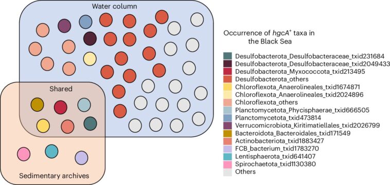 Le changement climatique pourrait accroître la propagation des neurotoxines dans les océans Le changement climatique pourrait accroître la propagation des neurotoxines dans les océans