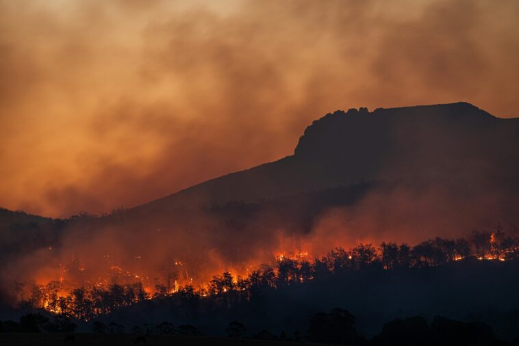 Le changement climatique transforme les incendies de forêt en monstres