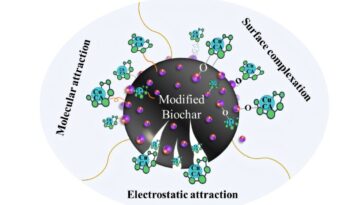 Le matériau biochar capture les polluants métalliques tenaces de l'eau