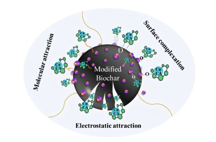 Le matériau biochar capture les polluants métalliques tenaces de l'eau