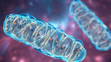 Le mystère de l'oxygène hautement réactif a finalement été résolu