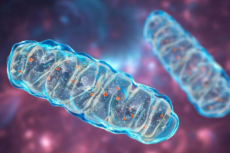 Le mystère de l'oxygène hautement réactif a finalement été résolu