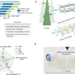 Le plastique à base de bambou peut être fait pour biodégrader rapidement, mais tient toujours dans des conditions difficiles Le plastique à base de bambou peut être fait pour biodégrader rapidement, mais tient toujours dans des conditions difficiles