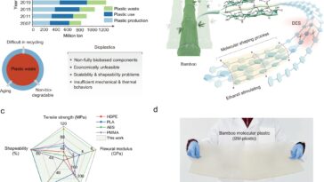 Le plastique à base de bambou peut être fait pour biodégrader rapidement, mais tient toujours dans des conditions difficiles