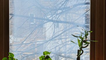 Le premier rapport national australien sur la qualité de l'air intérieur révèle un besoin urgent d'agir