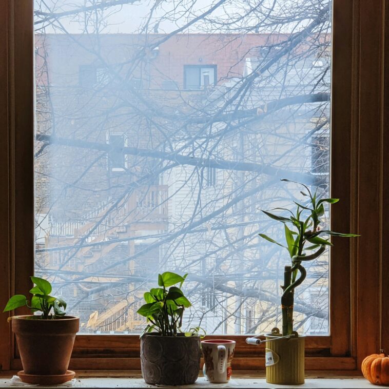 Le premier rapport national australien sur la qualité de l'air intérieur révèle un besoin urgent d'agir