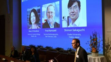 Mary Brunkow, Fred Ramsdell and Shimon Sakaguchi are announced as the winners of the 2025 Nobel prize in physiology or medicine by committee secretary general Thomas Perlmann