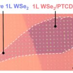 Le revêtement moléculaire nettoie la lumière quantique bruyante