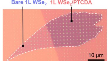 Le revêtement moléculaire nettoie la lumière quantique bruyante