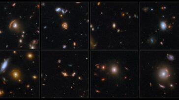 Lentilles gravitationnelles imagées par Webb lors de sa première exécution