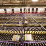 Les États-Unis et le Japon unissent leurs forces pour présenter certaines des mesures de neutrinos les plus précises dans ce domaine