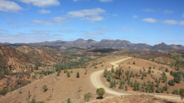Les anciennes « montagnes de sel » du sud de l’Australie créaient autrefois des refuges pour les jeunes enfants