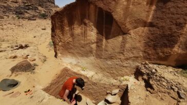 Les artistes anciens ont créé des gravures géantes de chameau dans le désert arabe