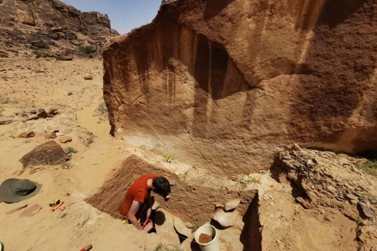 Les artistes anciens ont créé des gravures géantes de chameau dans le désert arabe