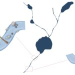 Les barrières naturelles dans le nord des rivières de la Suède défient les hypothèses en aval