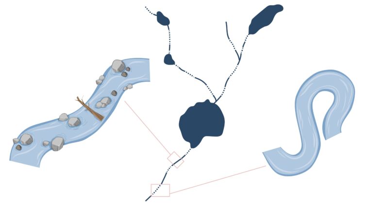 Les barrières naturelles dans le nord des rivières de la Suède défient les hypothèses en aval Les barrières naturelles dans le nord des rivières de la Suède défient les hypothèses en aval