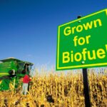 Les biocarburants sont-ils une bonne idée ? Uniquement si vous êtes agriculteur ou compagnie maritime