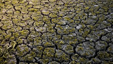 Les catastrophes dont nous parlons façonnent nos priorités et déterminent notre état de préparation