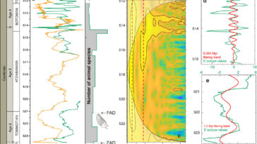 Les chercheurs identifient des cycles orbitaux d'un million d'années comme un « stimulateur cardiaque » pour les anciennes impulsions d'oxygénation de la Terre