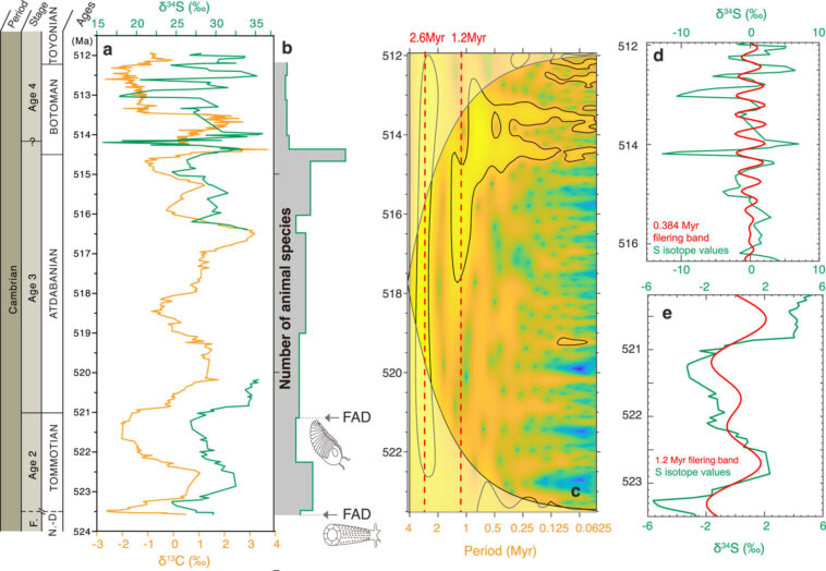 Les chercheurs identifient des cycles orbitaux d'un million d'années comme un « stimulateur cardiaque » pour les anciennes impulsions d'oxygénation de la Terre