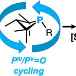 Les chimistes découvrent une nouvelle façon de décomposer le «gaz de rire dommageable du climat»