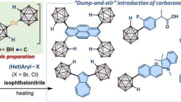 Les chimistes développent une technique de « dump-and-stir » pour une synthèse rapide et sûre du carborane