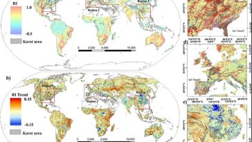 Les écosystèmes matures montrent une forte adaptabilité à la sécheresse dans les zones karstiques, selon une recherche
