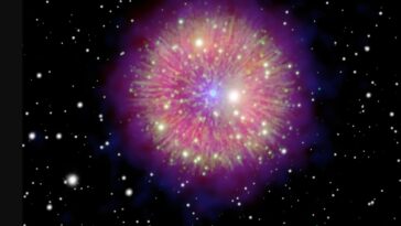 Les érudits arabes ont peut-être noté les supernovae de 1006 et 1181 après JC.