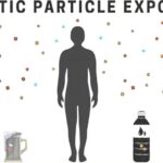 Les fruits de mer injustement pointés du doigt dans le débat sur les microplastiques, selon des chercheurs Les fruits de mer injustement pointés du doigt dans le débat sur les microplastiques, selon des chercheurs