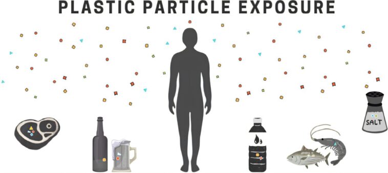 Les fruits de mer injustement pointés du doigt dans le débat sur les microplastiques, selon des chercheurs Les fruits de mer injustement pointés du doigt dans le débat sur les microplastiques, selon des chercheurs