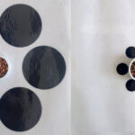 Une illusion Ebbinghaus, avec 6 cercles noirs entourant un bol de graines de millet.