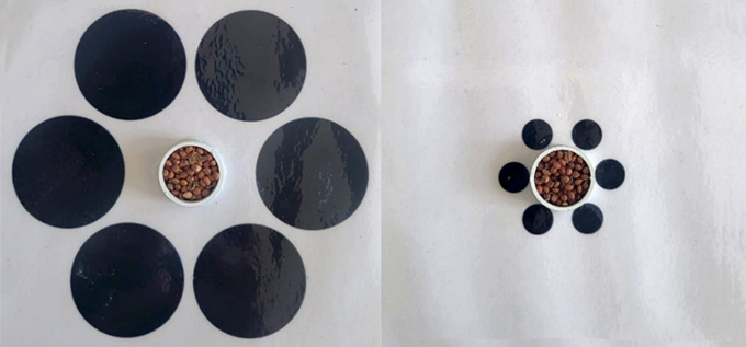 Une illusion Ebbinghaus, avec 6 cercles noirs entourant un bol de graines de millet.