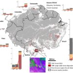 Les incendies record en Amazonie en 2024 entraînent des émissions de carbone et une dégradation des écosystèmes sans précédent