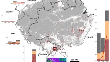 Les incendies record en Amazonie en 2024 entraînent des émissions de carbone et une dégradation des écosystèmes sans précédent