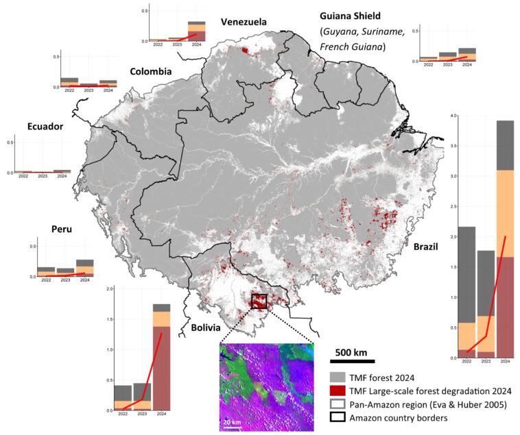 Les incendies record en Amazonie en 2024 entraînent des émissions de carbone et une dégradation des écosystèmes sans précédent Les incendies record en Amazonie en 2024 entraînent des émissions de carbone et une dégradation des écosystèmes sans précédent